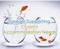 We will care about your accommodation